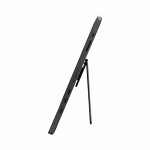 MSI PRO MP161 E2 FHD 60HZ IPS PORTABLE MONITOR